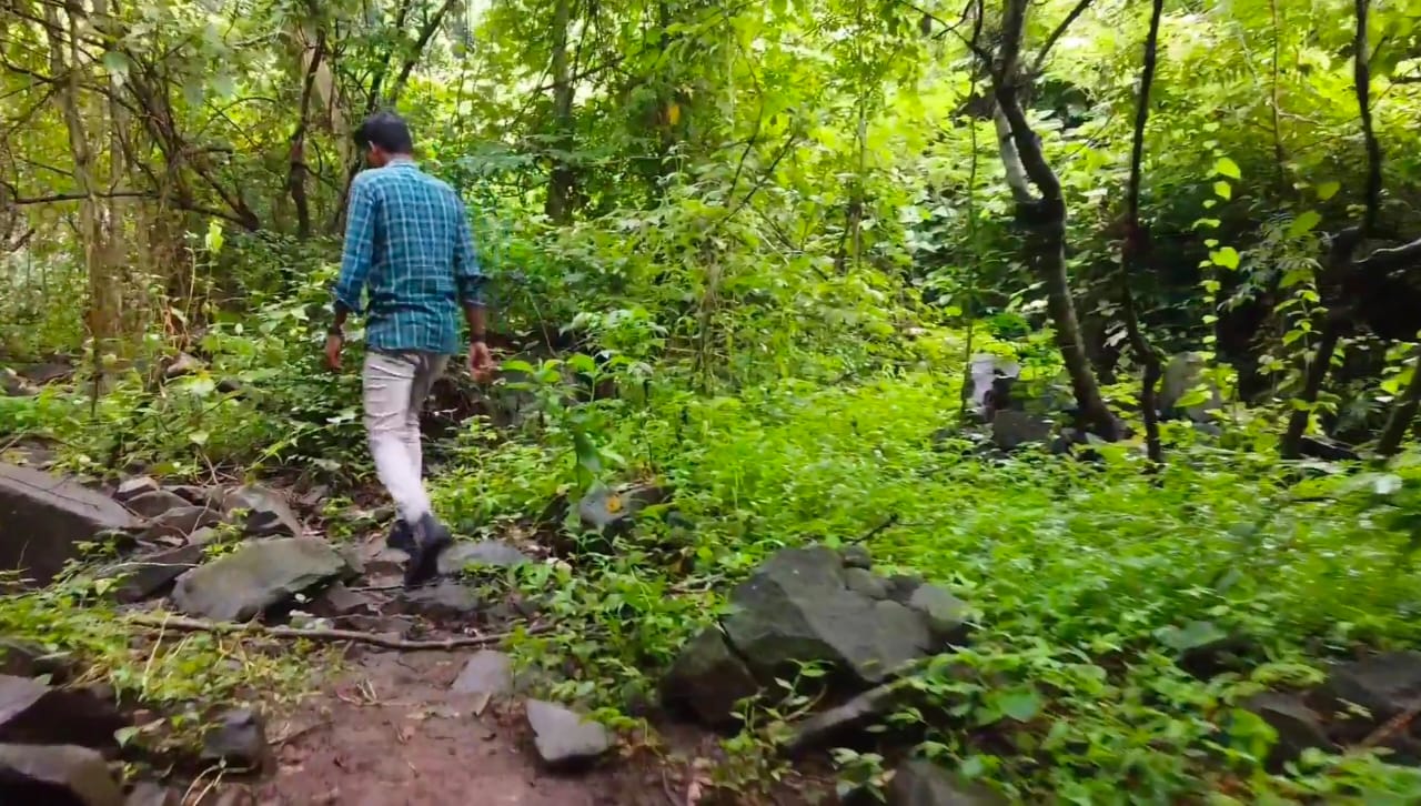 Damakol waterfall Godda