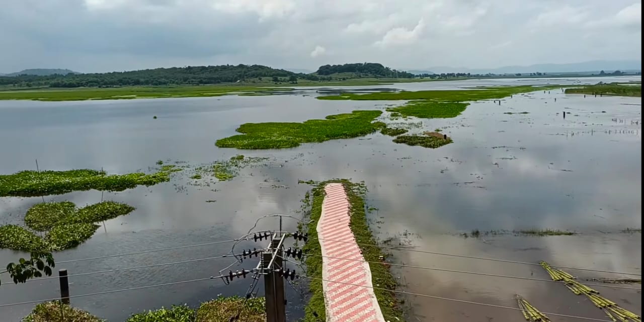 Udhwa bird senctuary and lake